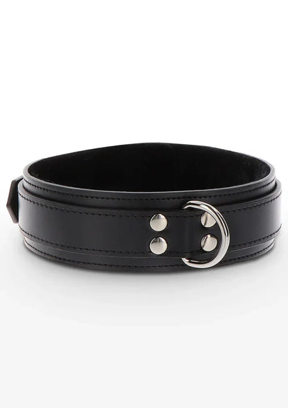 Heavy D-Ring Collar – Erotikshop Schweiz | Liebelei.ch