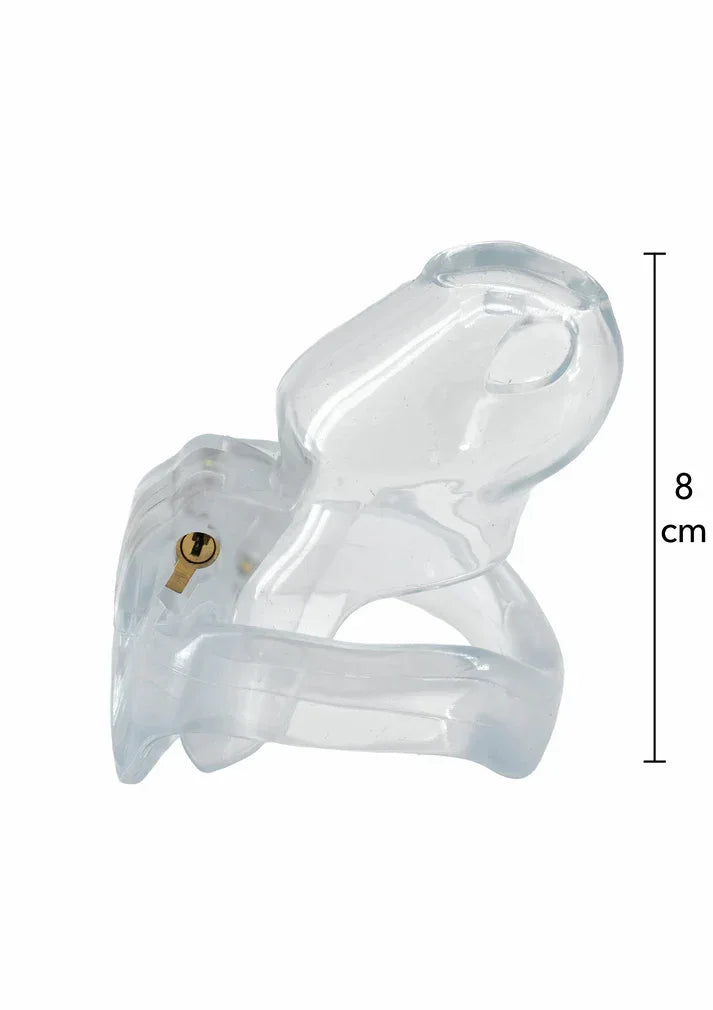 Clear Control Cock Cage Regular – Erotikshop Schweiz | Liebelei.ch