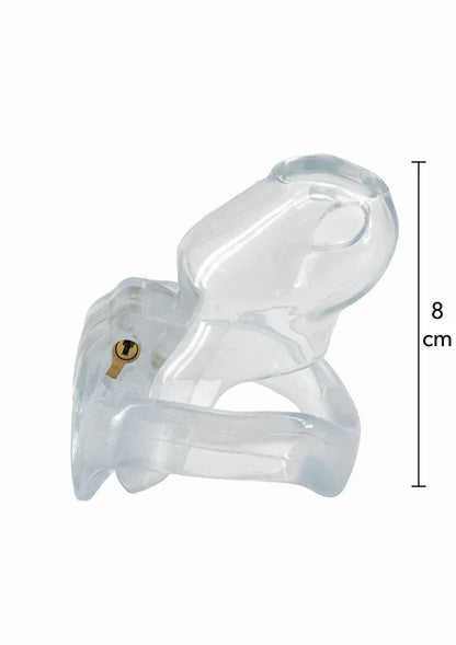 Clear Control Cock Cage Regular – Erotikshop Schweiz | Liebelei.ch