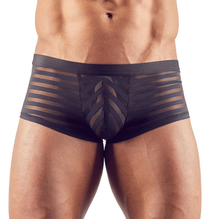 Pants Mesh/ gestreift