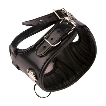 Gepolstertes Halsband mit Ballknebel – Erotikshop Schweiz | Liebelei.ch